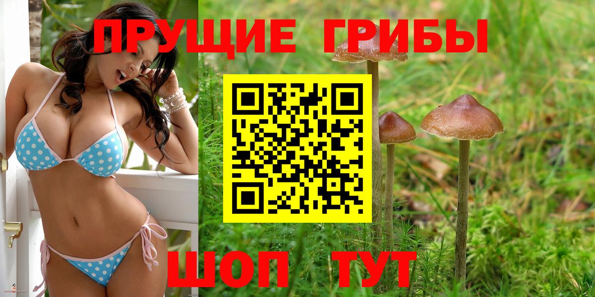 Галлюциногенные грибы мицелий  Вход с VPN  где можно купить   Спасск-Дальний 